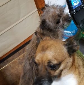 Meet your Posher, Holly